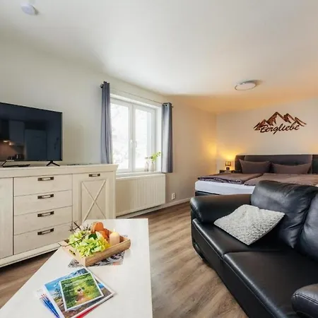 Fuenf Harzer Berge Oderberg Daire Sankt Andreasberg