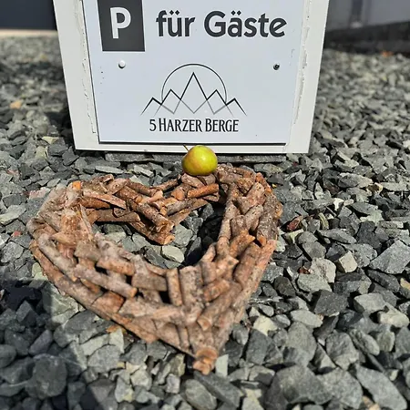 Apartman Fuenf Harzer Berge Oderberg Sankt Andreasberg
