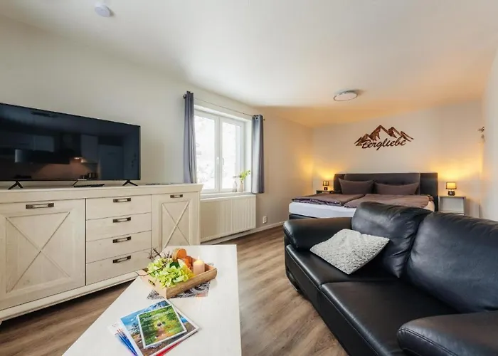 公寓 Fuenf Harzer Berge Oderberg *