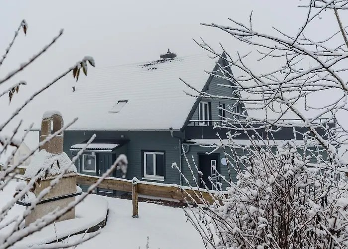 Fuenf Harzer Berge Oderberg 公寓 圣安德里斯伯格