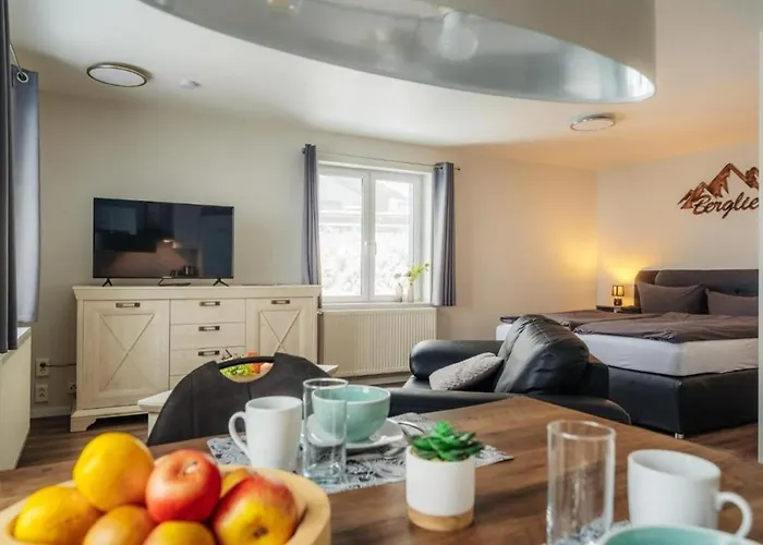 公寓 Fuenf Harzer Berge Oderberg 圣安德里斯伯格