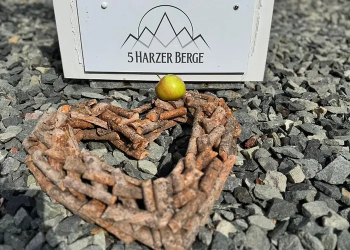 公寓 Fuenf Harzer Berge Oderberg 圣安德里斯伯格