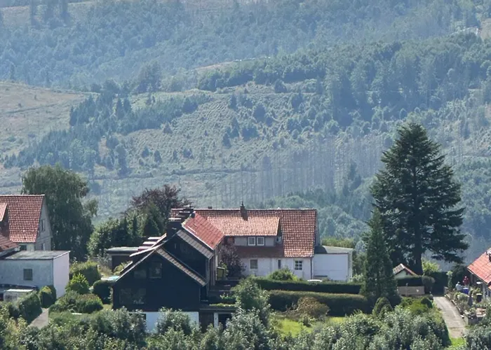 公寓 Fuenf Harzer Berge Oderberg *